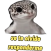 iguana y perro 7