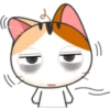 ❥Meow~ For Mishell ^ⲱ^ 1. 9