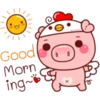 PINK PIG 10