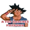 A TUSORDENES
PATRONA U