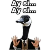 ¿Dónde están los pájaros? 12