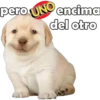 PERRITO PACK 14 10