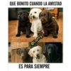 Memes variados 2 15