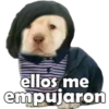 PERRITO PACK 14 11
