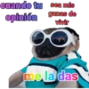 iguana y perro 8