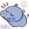 000
SMILE