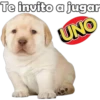 PERRITO PACK 14 13