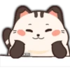 Gato gordo y lindo 10