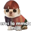 PERRITO PACK 14 14