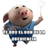 PIG •Emomar 16