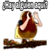 ¿Dónde están los pájaros? 13
