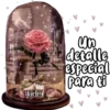 Amor ️ (Valentine's Day) 11