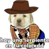 PERRITO PACK 6 14