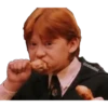 Harry Potter 12