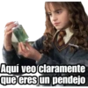 Harry Potter 13