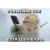 Memes variados 2 16