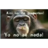 respuestas con memes 4 17