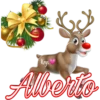 Christmas names ll 13