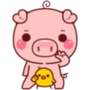 PINK PIG 14