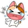 ❥Meow~ For Mishell ^ⲱ^ 1. 14