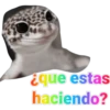 iguana y perro 11
