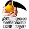 ¿Dónde están los pájaros? 15