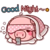 PINK PIG 15