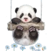 Animales ️ galácticos 9