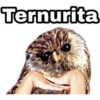 ¿Dónde están los pájaros? 19