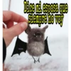 itisa
Dâce mi esposa que
Siempre no voy
ଓ