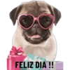 FELIZ DIA !!