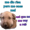 iguana y perro 13
