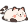 Gato gordo y lindo 14