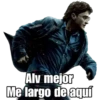 Harry Potter 15