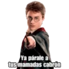 Harry Potter 16