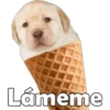 PERRITO PACK 14 17