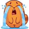 JU
I