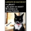 Memes variados 2 20