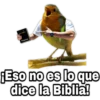 ¿Dónde están los pájaros? 20