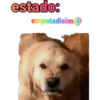 iguana y perro 14