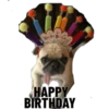 Ha Py Bla
HAPPY
BIRTHDAY