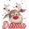 Krys
Darwin