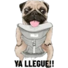 Erstock
shutte
YA LLEGUE!!