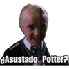 Harry Potter 19