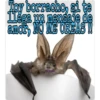 Toy borracho, si te
Llega un mensaje de
amor, NO ME CREAS!!
itisa