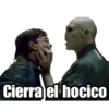 Harry Potter 20