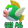 CAES MAL