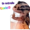 iguana y perro 15