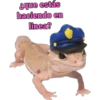 iguana y perro 16
