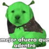 PERRITO PACK 6 17